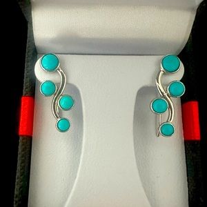 Sleeping Beauty Turquoise Earrings Sterling Silver